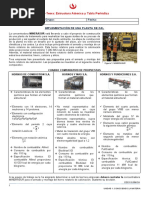 Caso 02 - Implementación de Una Planta de Cal