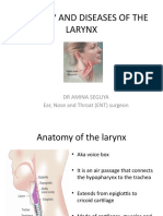 Anatomy and Diseases of The Larynx