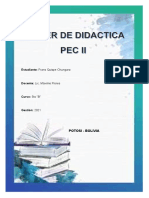 Tarea1 T.D.DTC PEC II Franz Quispe Ch.