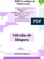 4.6 Válvulas de Bloqueo.