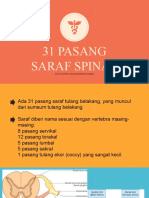 31 Pasang Saraf Spinal