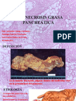 133 Necrosis Grasa Pancreática