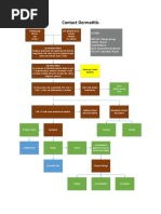 Contact Dermatitis Concept Map