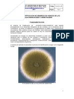 Practica Taxonomia Por Ontogenia de Conidias 1