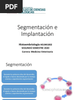 SEMANA 10 Clase 18. Embriología II