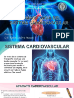 Farmacologia Del Sistema Cardiovascular