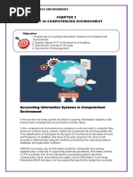 Chapter 2 Audit in Computerized Environment