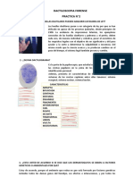 Dactiloscopia Forense N°2