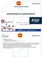 Metab Carbohidratos CCQQ