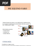 Pie Equino-Varo