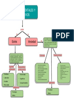 Mapa Conceptual 4