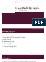 Isolasi Dna Metode Sds Nacl: Sitti Romlah, M.Si