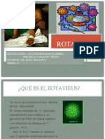 Diarrea Rotavirus G8 2016