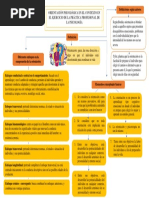 Mapa Conceptual Orientación Psicológica en El Contexto en El Ejercicio de La Práctica Profesional de La Psicología