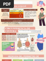 IMC y Circunferencia de La Cintura