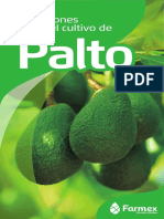 Ciclo Palto