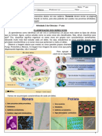 2 Atividade Setimo Ano Classificação Seres Vivos