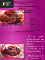 Liquido Amniotico