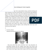 Pemeriksaan Radiologi Pada Traktus Urogenitalia