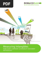 Robeco SAM Measuring Intangibles