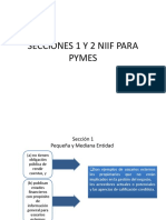 Secciones 1 y 2 Niif para Pymes