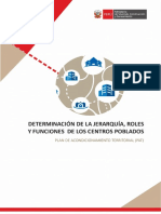 Anexo 05 - Determinación de La Jerarquía, Roles y Funciones de CP