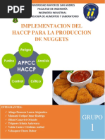 Ruta en La Implementación Del Haccp Nuggets