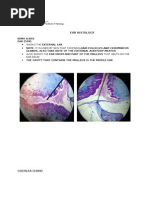 Ear Histology