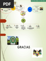 INFOGRAFIA RAMAS DEL PODER PUBLICO - Ipptx