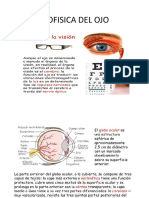 Biofisica Del Ojo