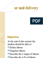 Labour & Delivery 1