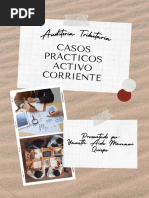 Auditoria Tributaria - Casos Practicos