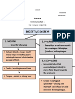 Digestive System: 1. Mouth 2. Pharynx (Throat)