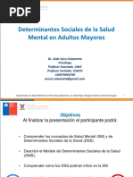 Presentación Clase - Determinantes Sociales de La Salud Mental en Adultos Mayores