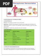 Los Estímulos y Los Receptores