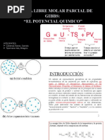 Energia Libre Molar Parcial de Gibbs-Exposicion