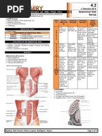 4.2 Abdominal Wall Hernia (Jerome Villacorta's Conflicted Copy 2014-03-22)