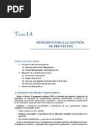 Tema 14. Introducción A La Gestion Del Proyecto