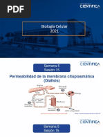 Biología Celular-Permeabilidad de Membrana Diálisis-5-16