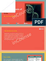 Molecular Basis of Inheritance: By: Dr. Anand Mani