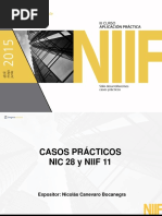 NIC 28 y NIIF 11 - NICOLAS CANEVARO