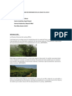 Tarea Ecologia