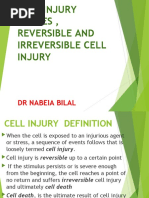 Causes of CELL INJURY, Reversible and Irreversible Cell Injury 