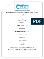 HDFC Bank Project Nitin Kale PDF