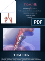 Trachea Presentation 1