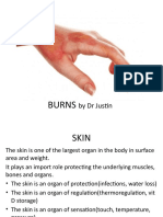 Burns 2