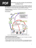 Larva Migrans e Enterite Eosinoflica