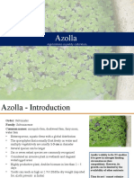 Azolla: Unit 04: Plant-Microbe Interaction Lecture By: Rajiv Pathak