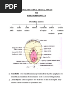 Female External Genital Organ