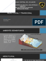 Medio Fluvial y Transicional